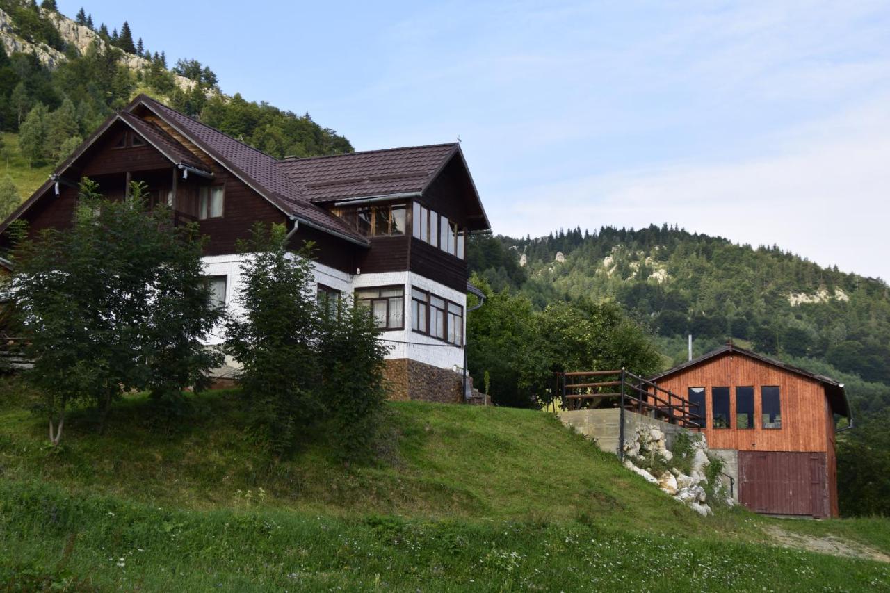 Cabana Colnic Hotel Magura  Exterior photo